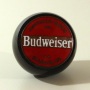 Budweiser Photo 2
