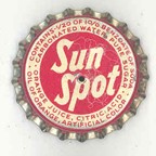 Sun Spot Beer
