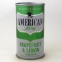 American Dry Grapefruit & Lemon Soda Photo 3