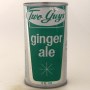 Two Guys Ginger Ale Photo 3