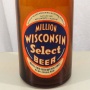 Million Wisconsin Select Beer Picnic Photo 2